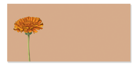 Notepad Din Lang Marigold