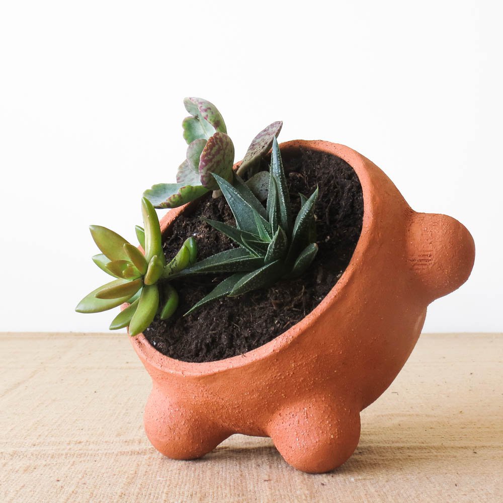 Emma Terracotta Planter