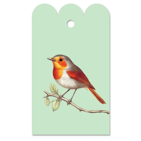 Gift day robin (robin)