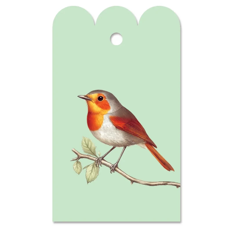 Gift day robin (robin)