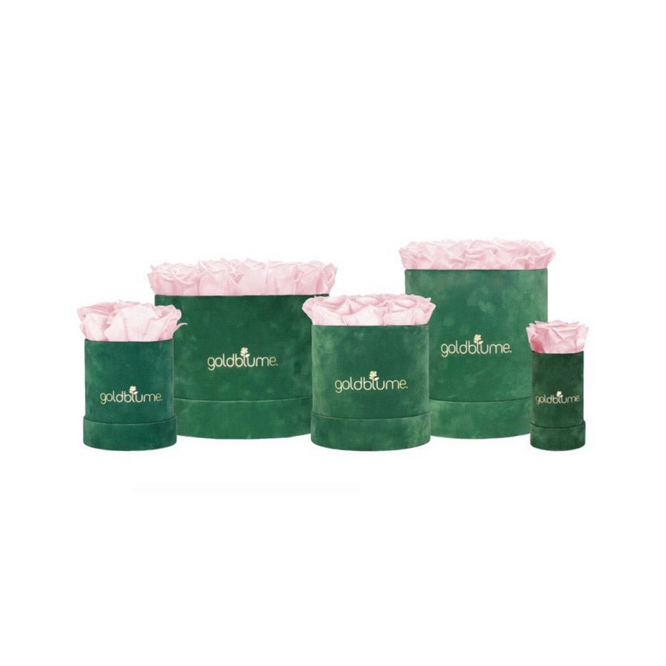 Velvet Green Collection