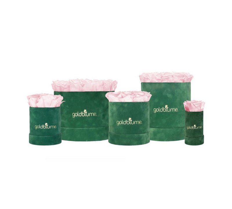 Colección Terciopelo Verde