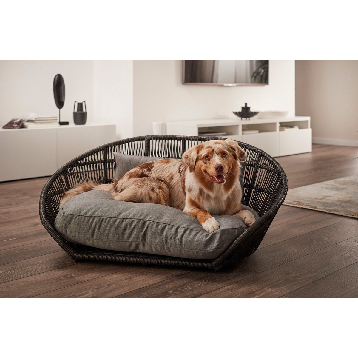 PRADO - Design-Hundebett LISCIO