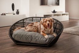 PRADO - Design-Hundebett SMOOTH