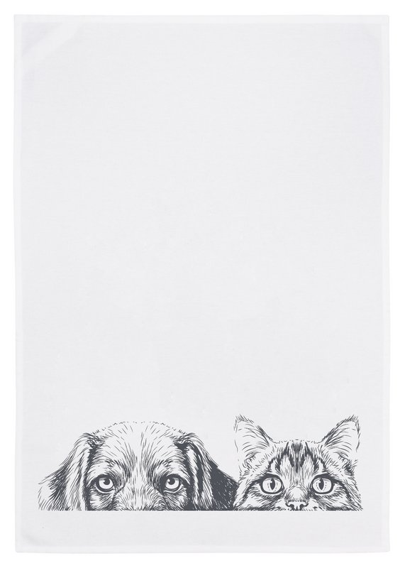 Poalla de cocina blanca, perro y gato