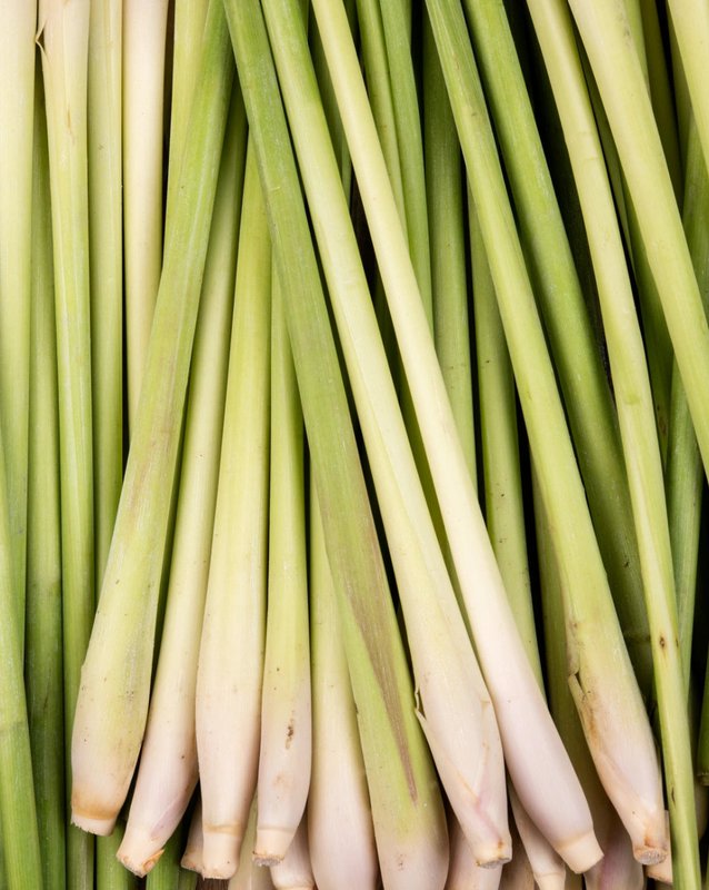 MINT and LEMONGRASS • For flavored water