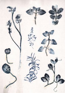 Garden herbs blue A5