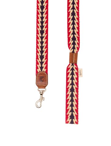 Peruvian Arrow Leash