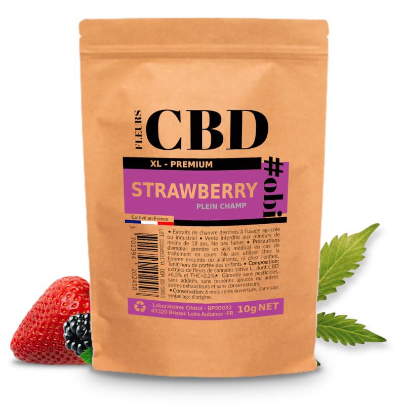 Kwiaty truskawki XL CBD