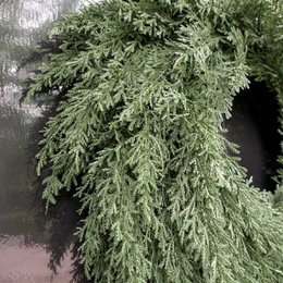 Kerstkrans Cipres Ø60 cm