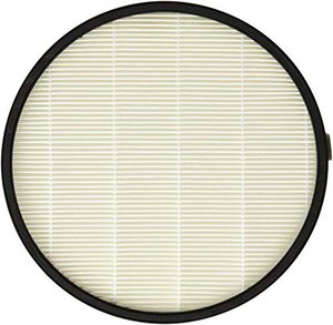 Adler AD 7961.1  Hepa Filter für AD 7961, schwarz, Mehrfarbig, Einheitsgröße
