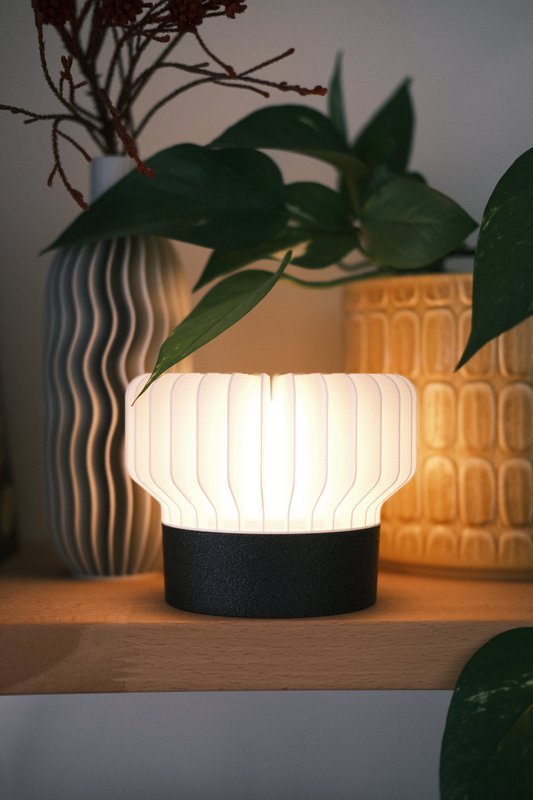 Luce portatile ricci