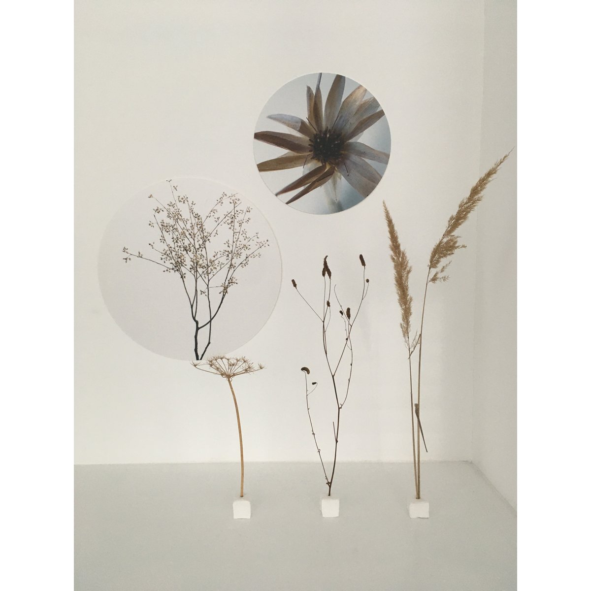Wall circle hummingbird sea blue