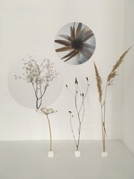 Mur cercle colibri mer bleu