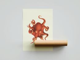 Pulpo