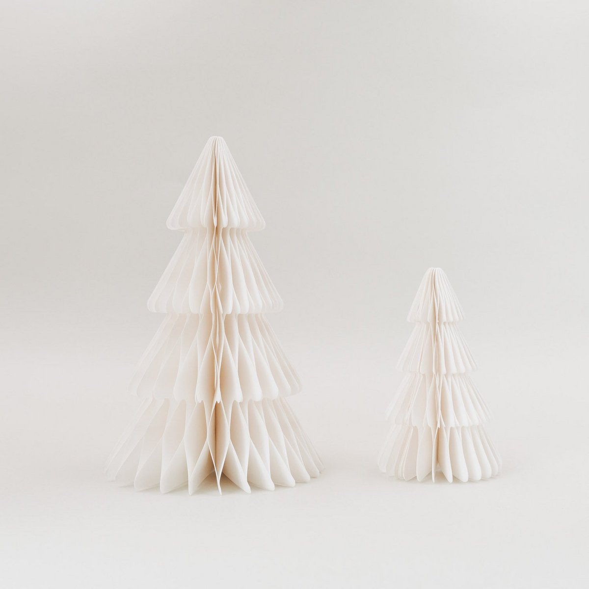 Papiertanne 2er Set nature (ve = 6 sets)