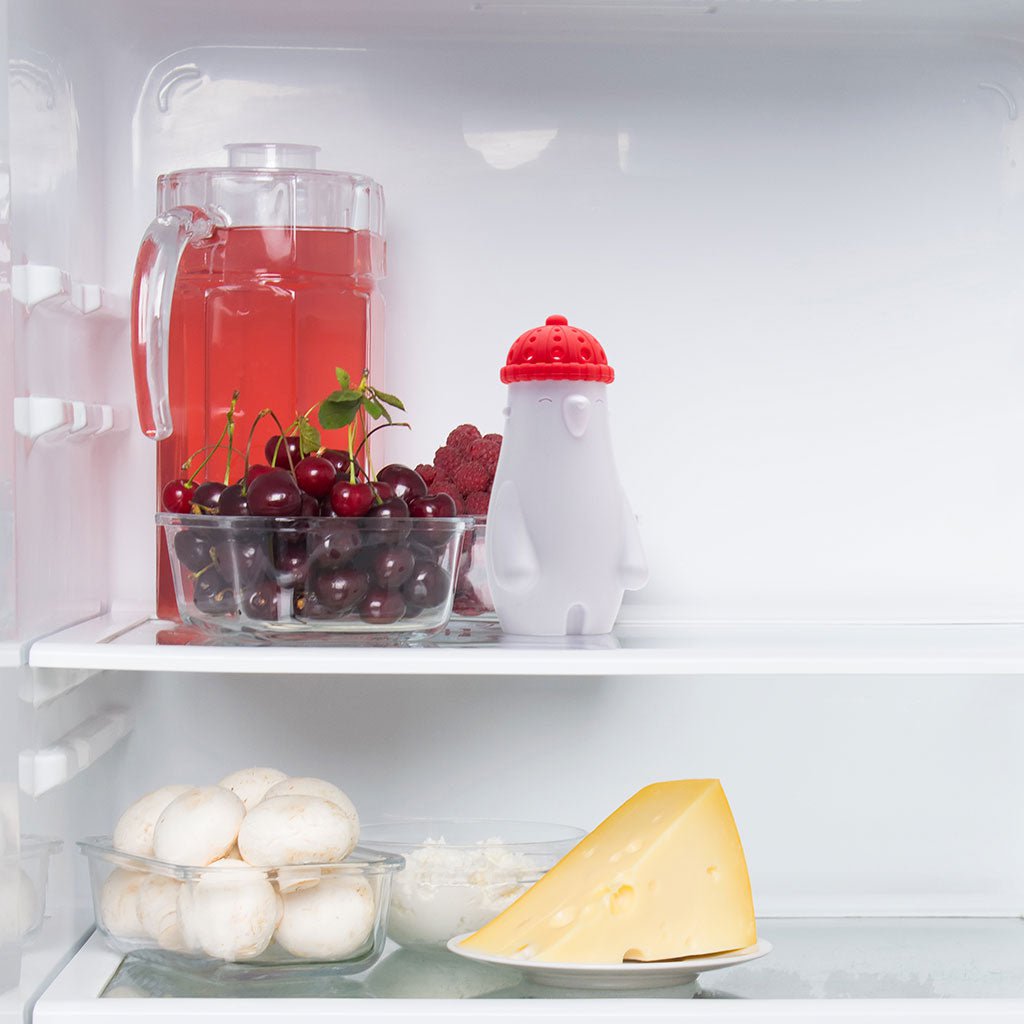 Bear Fridge Odour Absorber with Baking Soda | Fill Phil