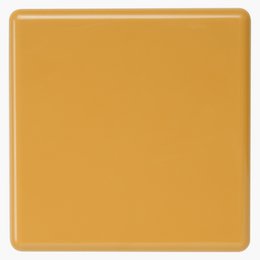 Kolekcja konfetti CK-Bloom2
