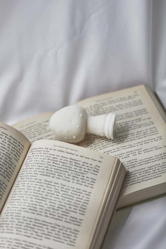 Ordinate-Woodland Mushroom Candle-01 Mushroom candle made of soy wax and beeswax | Handmade decorative candle | Cottagecore home decor | Gift for book lovers | Christmas candle