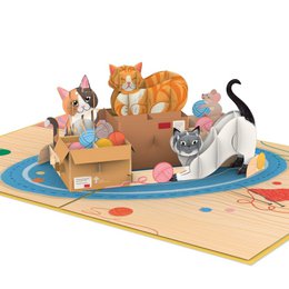 Cute cat pop-up card