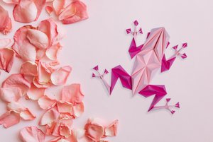 Roze Kikker