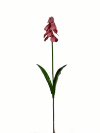 ZIMBA-ARTS FLOR DE JACINTO DE UVA ROSA DE METAL