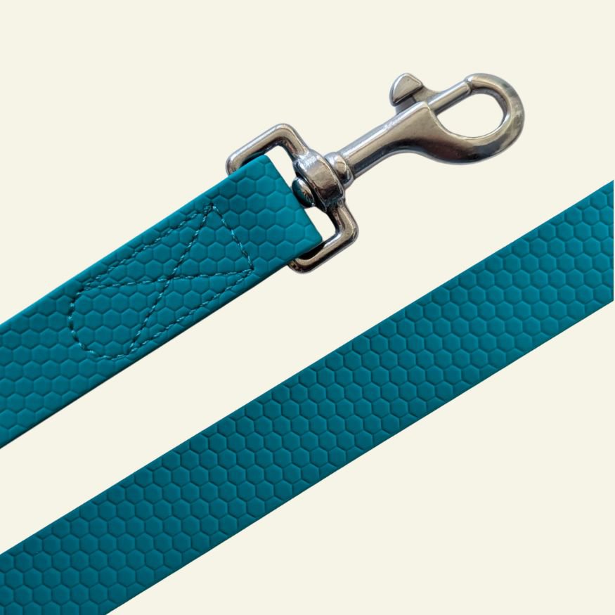 Waterproof multi-position leash Peacock blue