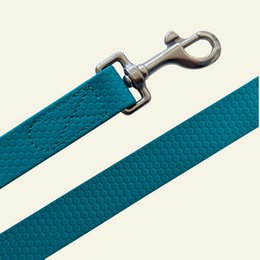 Waterproof multi-position leash Peacock blue