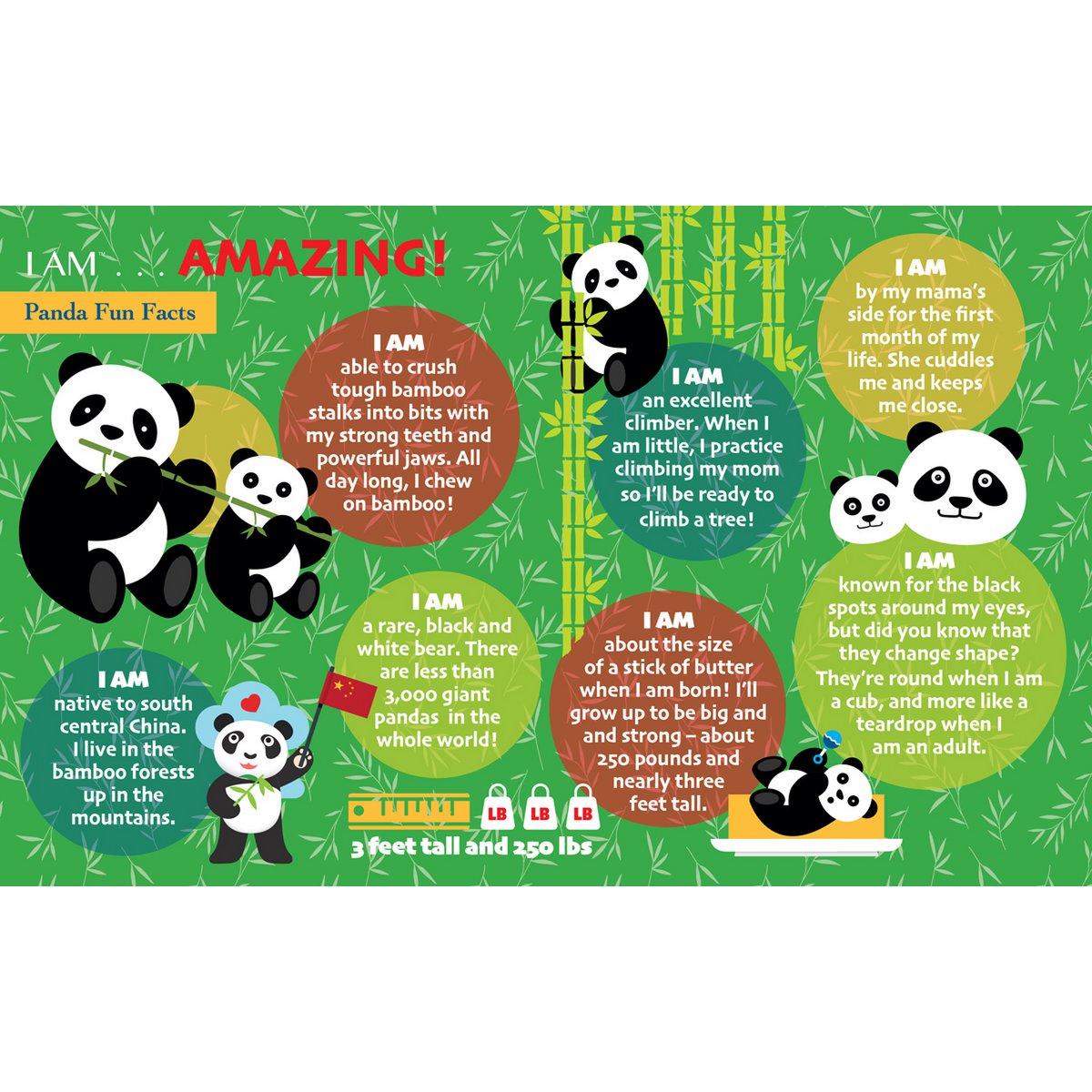 I Am Preschool - Panda