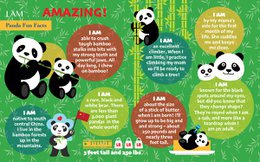 I Am Preschool - Panda