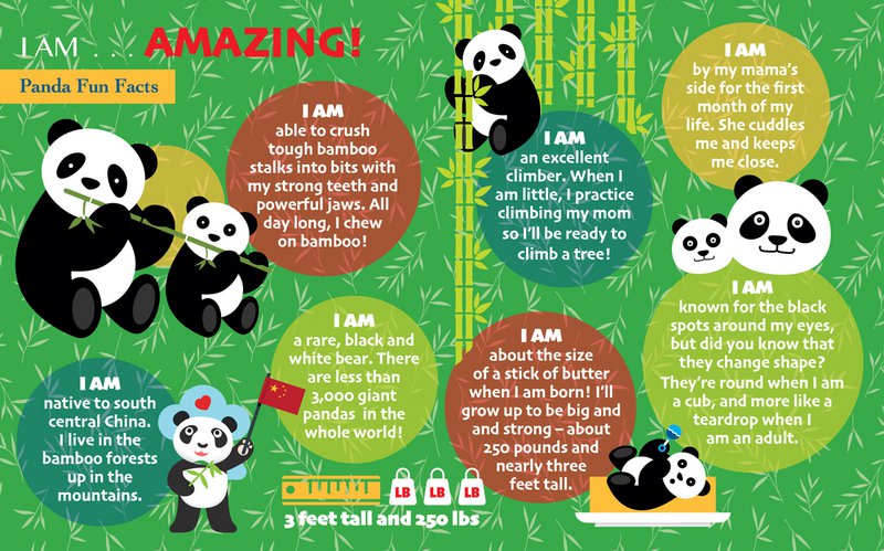 I Am Preschool - Panda