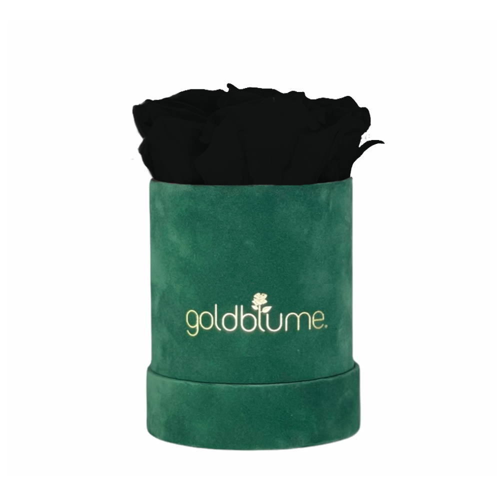 Velvet Green Collection