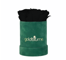 Velvet Green Collection