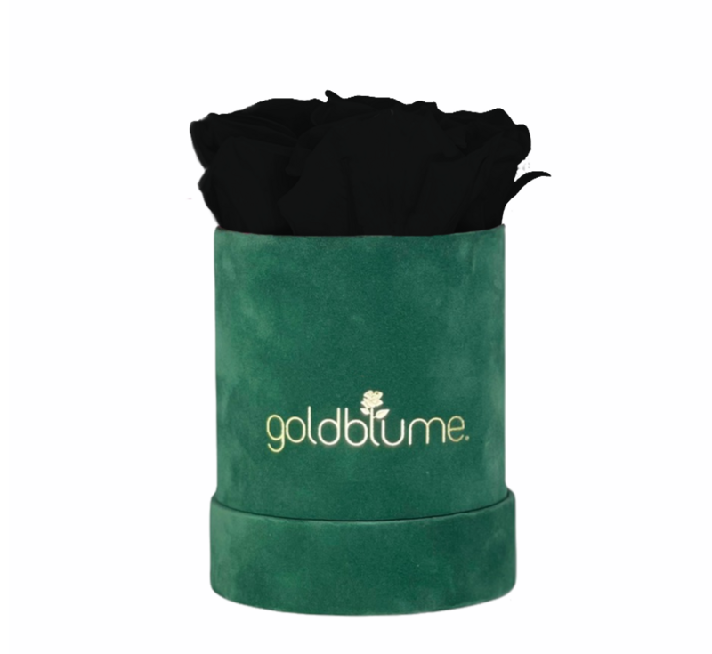 Velvet Green Collection