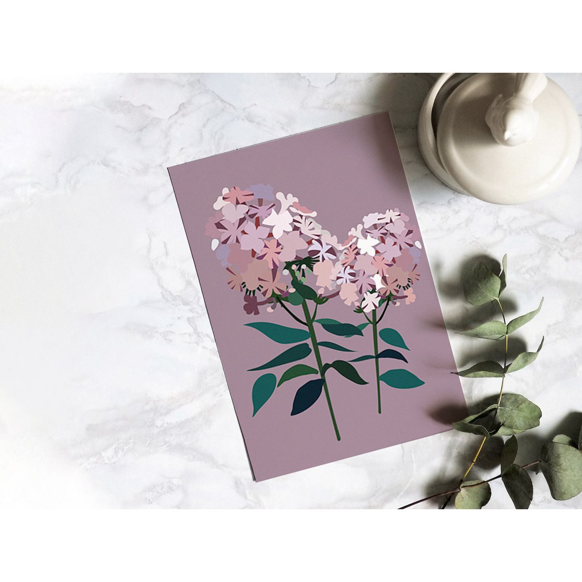 Floral Postcard - Phlox
