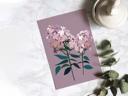 Postal Floral - Phlox