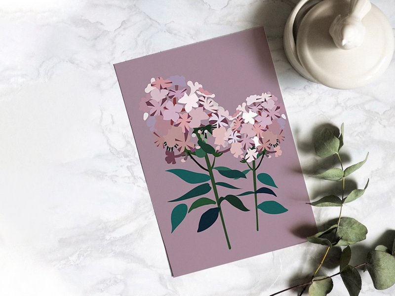 Blomsterpostkort - Phlox
