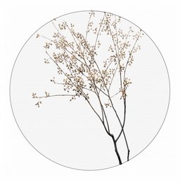 Wall circle dry plants