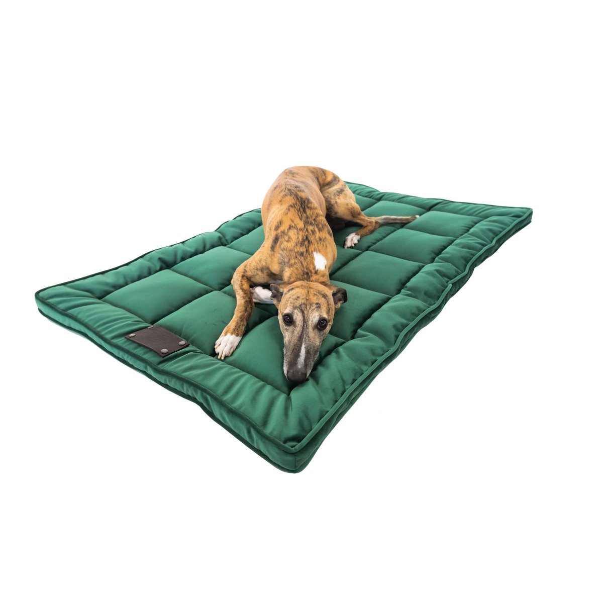 Ein Bett, ein Hund und eine Katze aus der flauschigen Welpenmarke, Veloursmaterial, 16 Farben, handgefertigt!