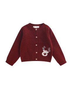 Gebreid vest, knopen en applicatie aan de voorkant, 6-24M, BBI86025