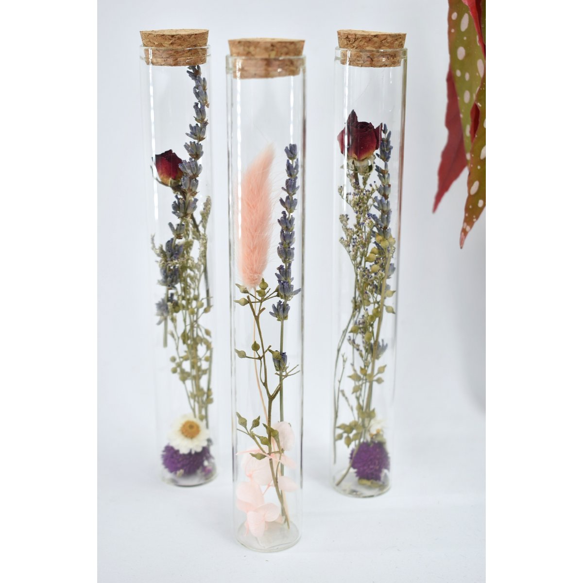 Trockenblumenröhrchen - 20 cm