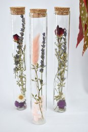 Dried flower tubes - 20 cm