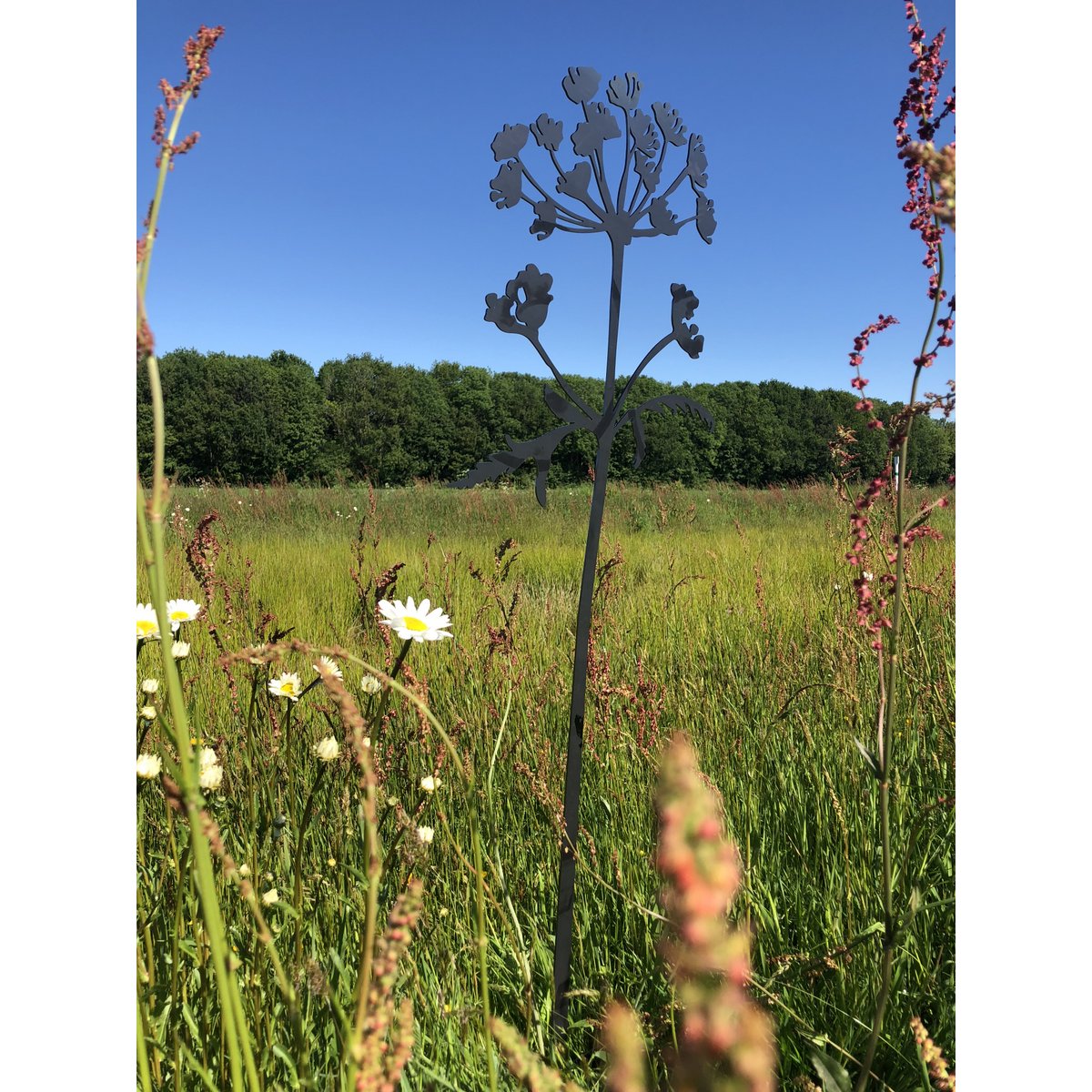 Poppy's & Hogweed - Corten object