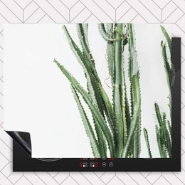 Protecteur induction - Cactus