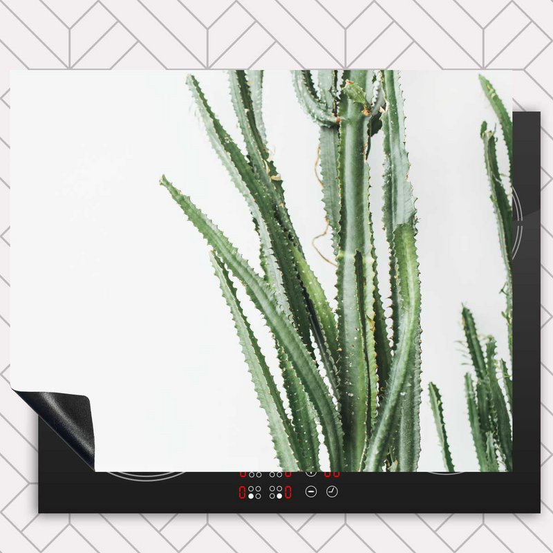Protecteur induction - Cactus