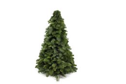 Nobilis juletræ - ↕50cm