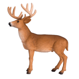 Mojo Woodland Toys White -tail Dhert Bok - 387038