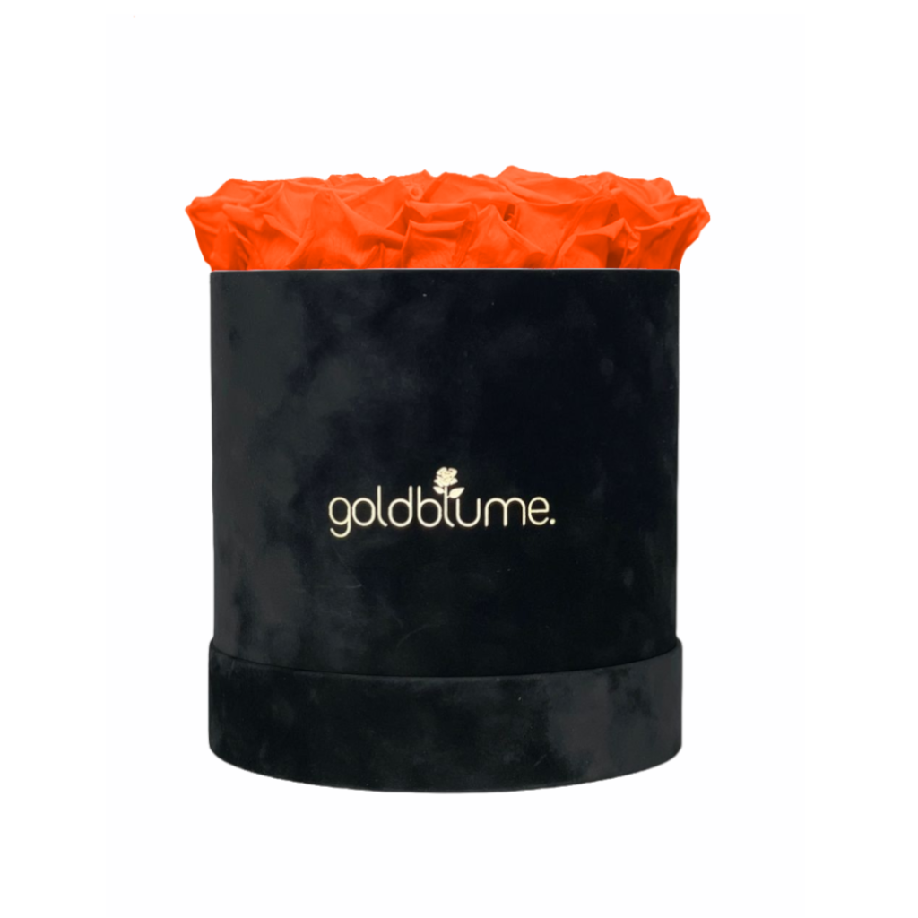 Velvet Black-collectie