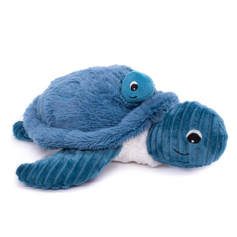 Ptipotos de schildpad mama/baby blauw
