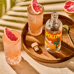 POLLY Mexican Classic – alkoholfrei | inspiriert von Tequila